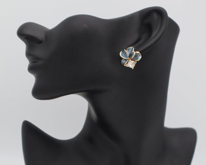 FAS Azure-G-GRY